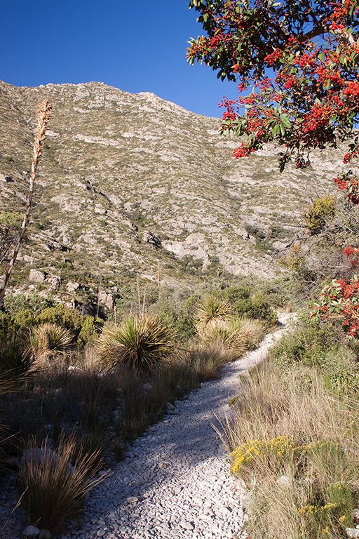 23_McKittrick Canyon_4.jpg